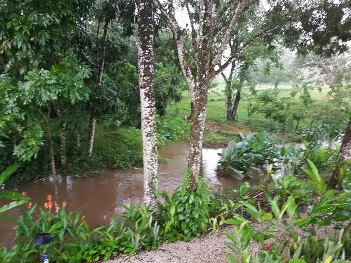 Auto Hotel Paraiso Inn Palenque Eksteriør billede