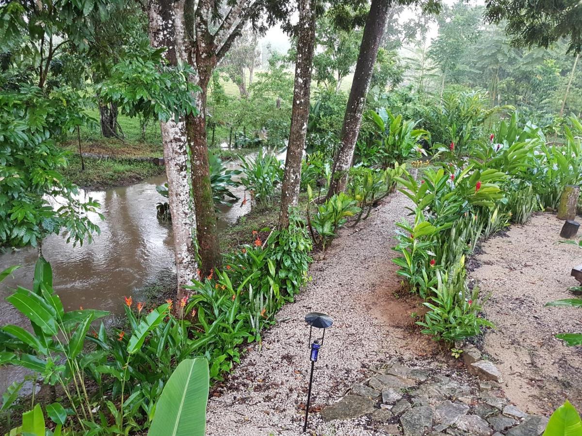 Auto Hotel Paraiso Inn Palenque Eksteriør billede