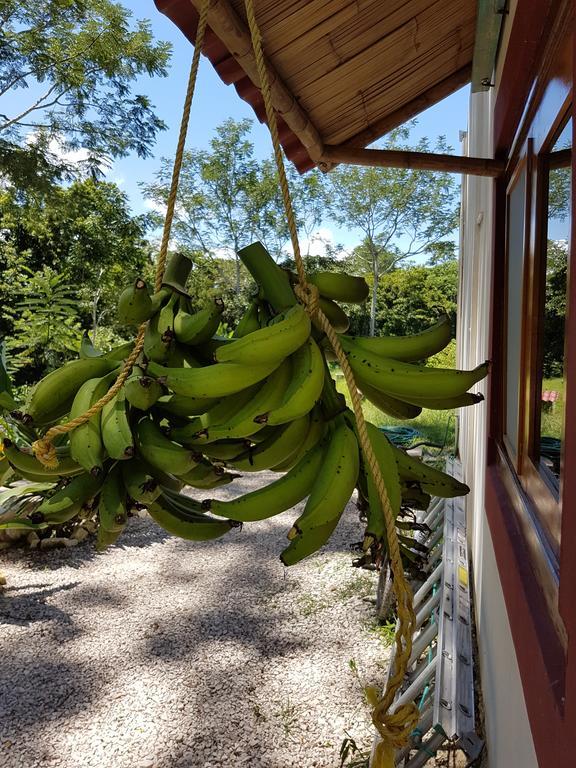 Auto Hotel Paraiso Inn Palenque Eksteriør billede
