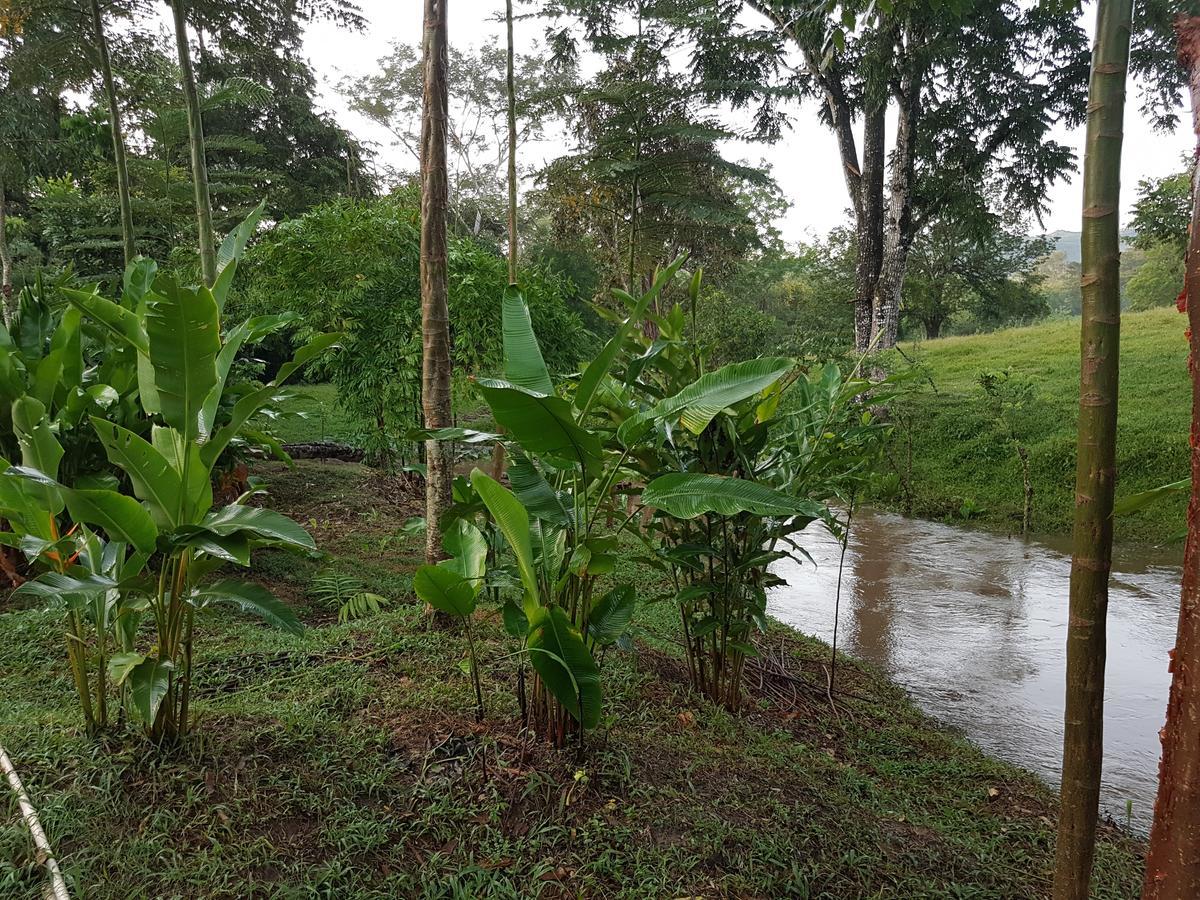 Auto Hotel Paraiso Inn Palenque Eksteriør billede