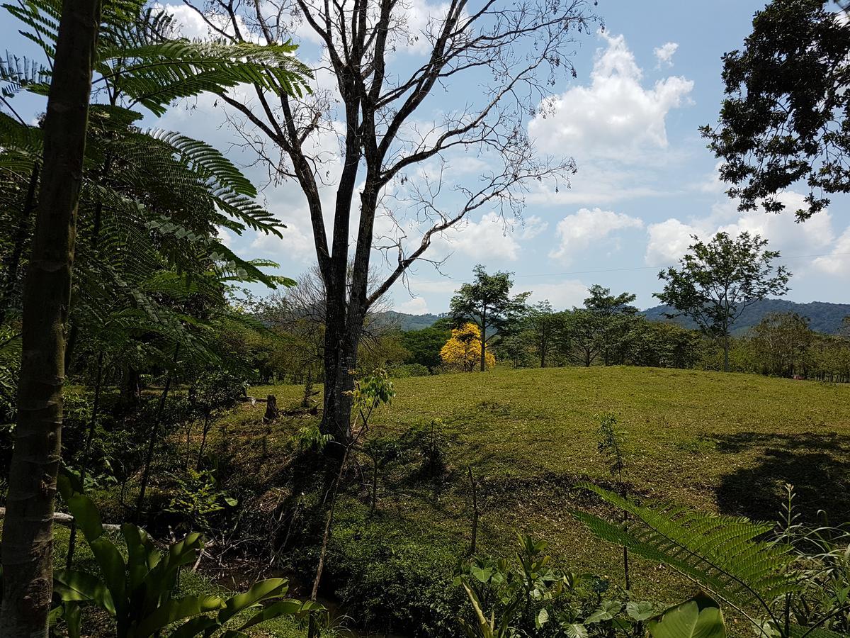 Auto Hotel Paraiso Inn Palenque Eksteriør billede
