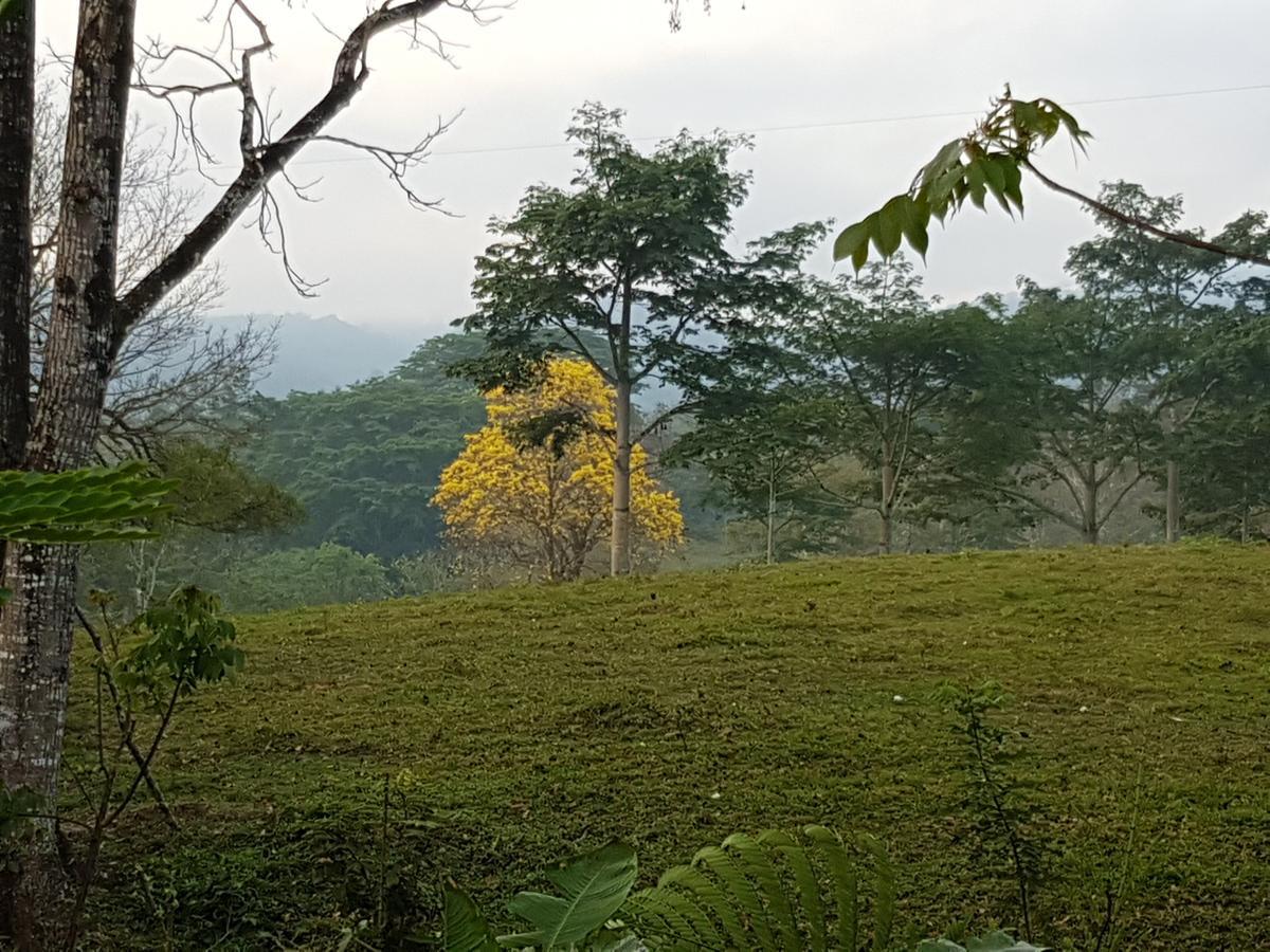 Auto Hotel Paraiso Inn Palenque Eksteriør billede
